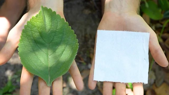 As pessoas que cultivam seu próprio papel higiênico