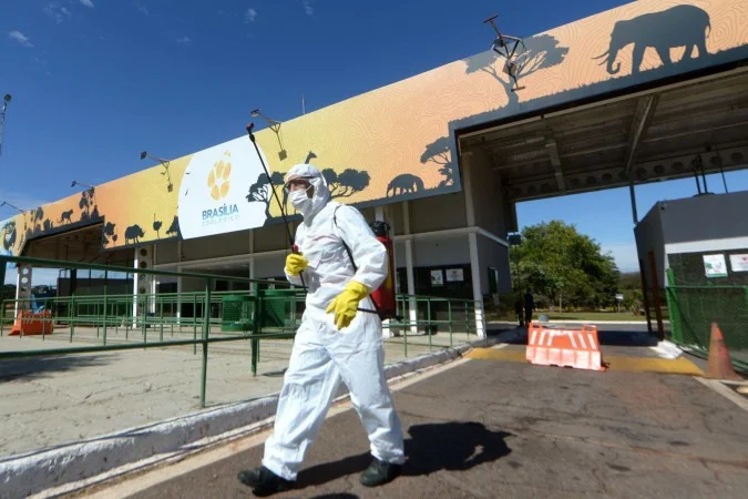 Exame confirma gripe aviária em irerê encontrado morto no Zoo