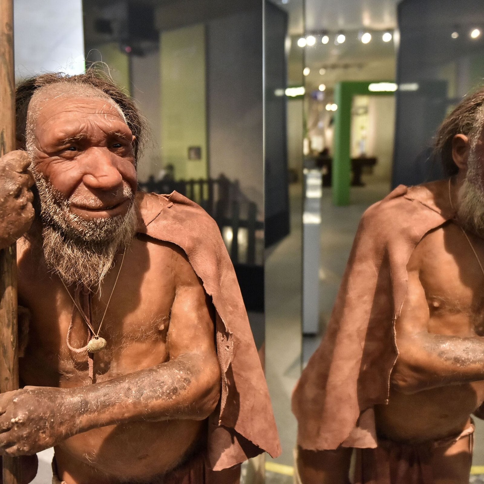 ferramentas de madeira de 300.000 anos descobertas na China