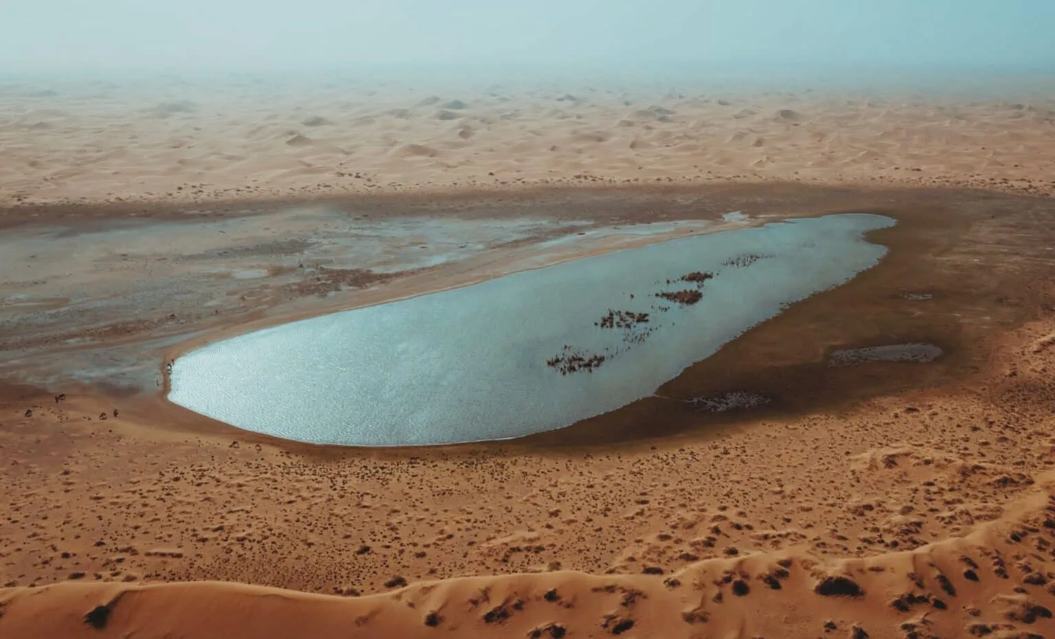 Arqueólogos descobrem oásis murados de 5.000 anos na Arábia Saudita