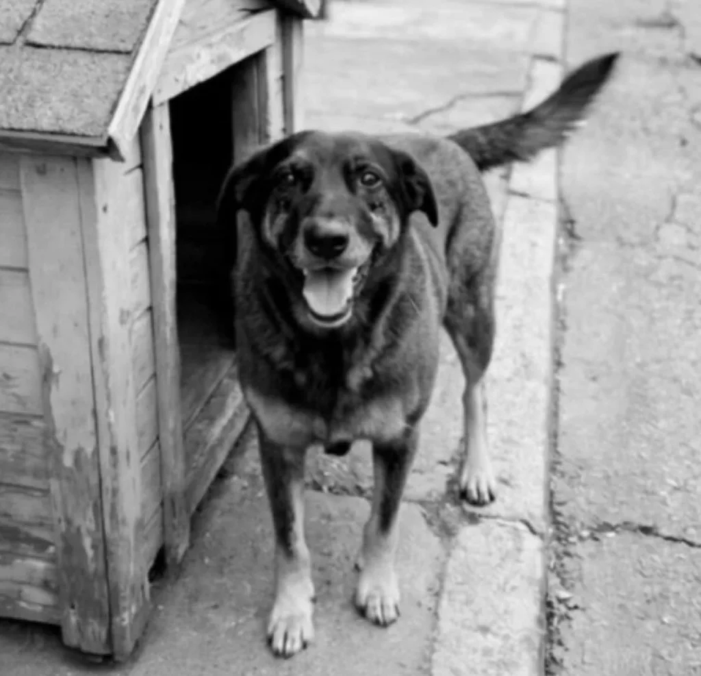 They Beat an Innocent Soul to Death — And We’re Supposed to Stay Calm?