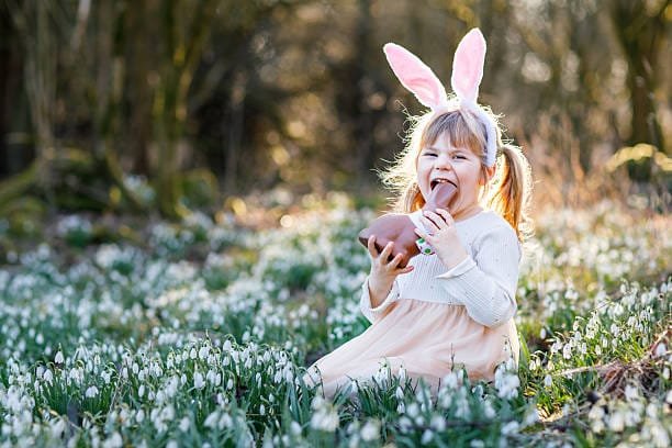Happy little girl with Easter bunny ears eating chocolate figure in spring forest on sunny day, outdoors. Cute child with lots of snowdrop flowers. Springtime, christian holiday concept